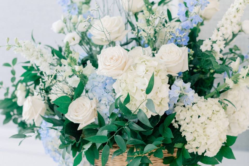 Blue/White