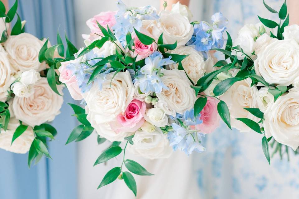 Blue/White
