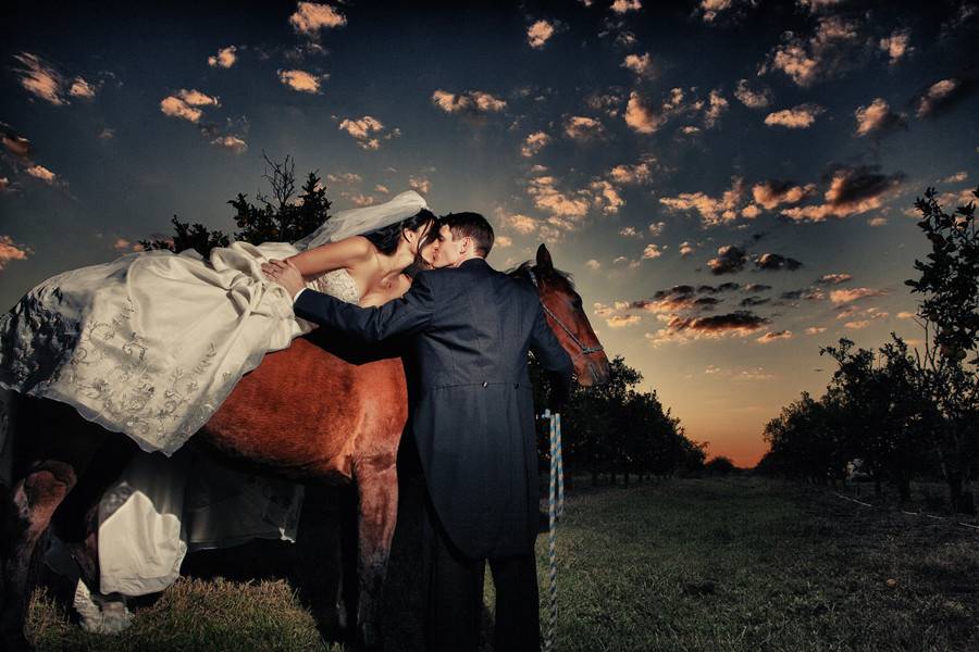 Adam Opris Photography-- On the horse