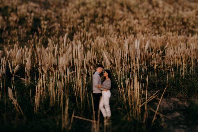Big Sur Engagement