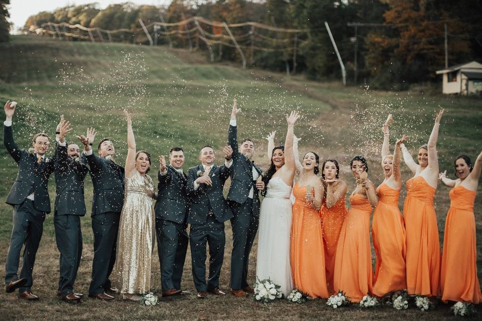 The bridesmaids and the groomsmen with the couple