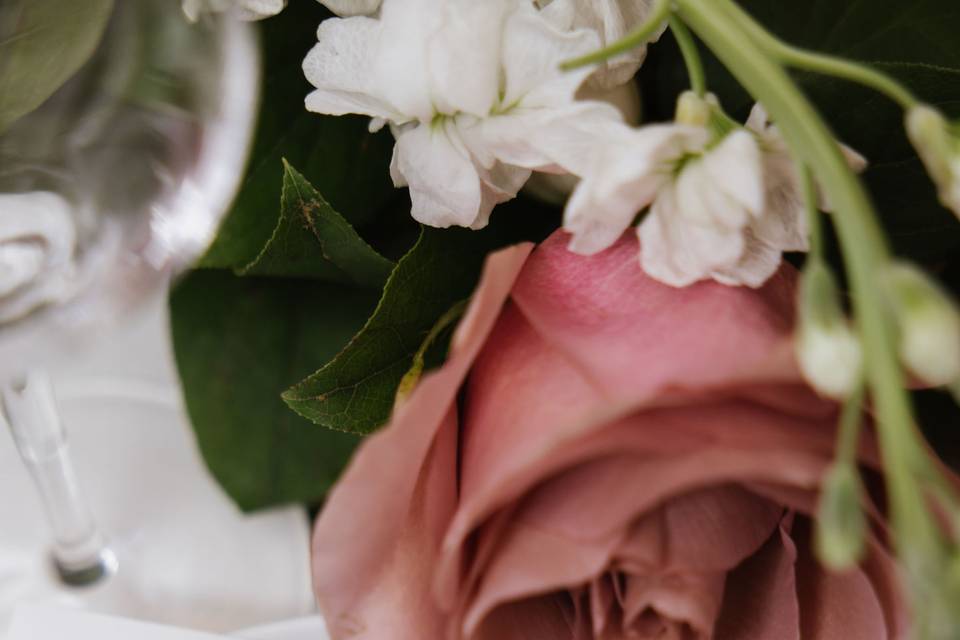 Pink rose and menu