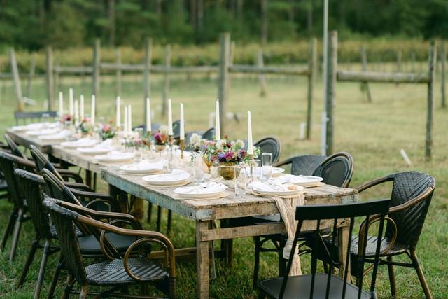Novi Vineyards