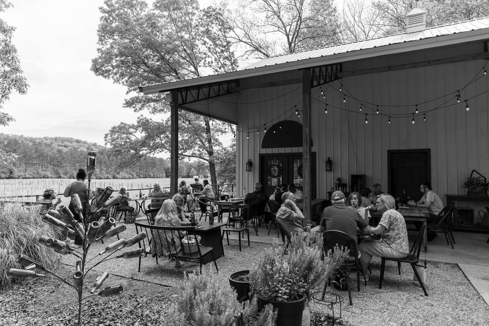 Novi Vineyards