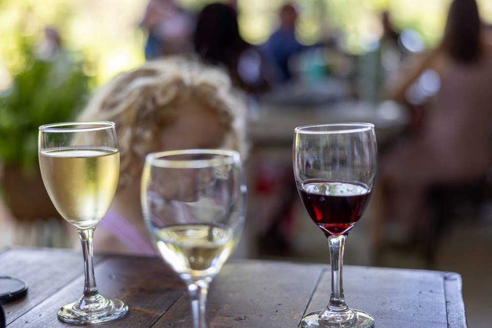 Novi Vineyards