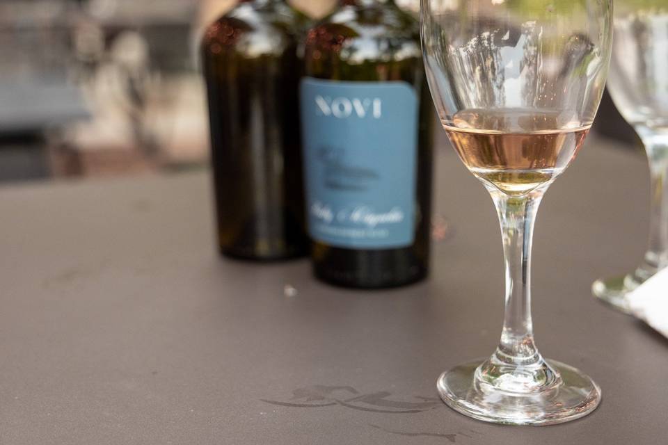 Novi Vineyards