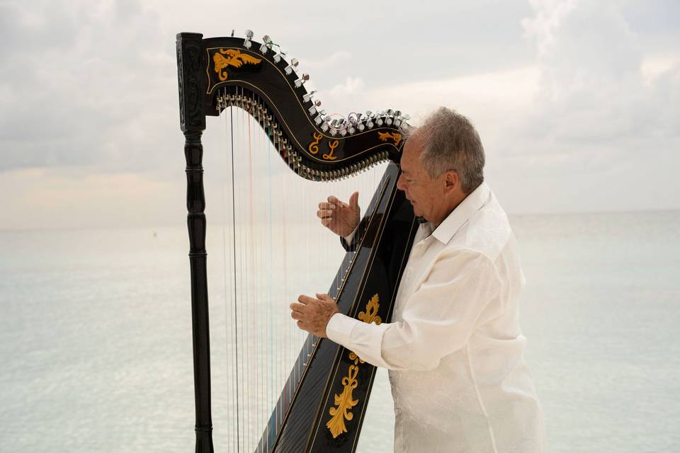 Harpist