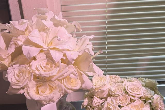 The White Empress Collection
