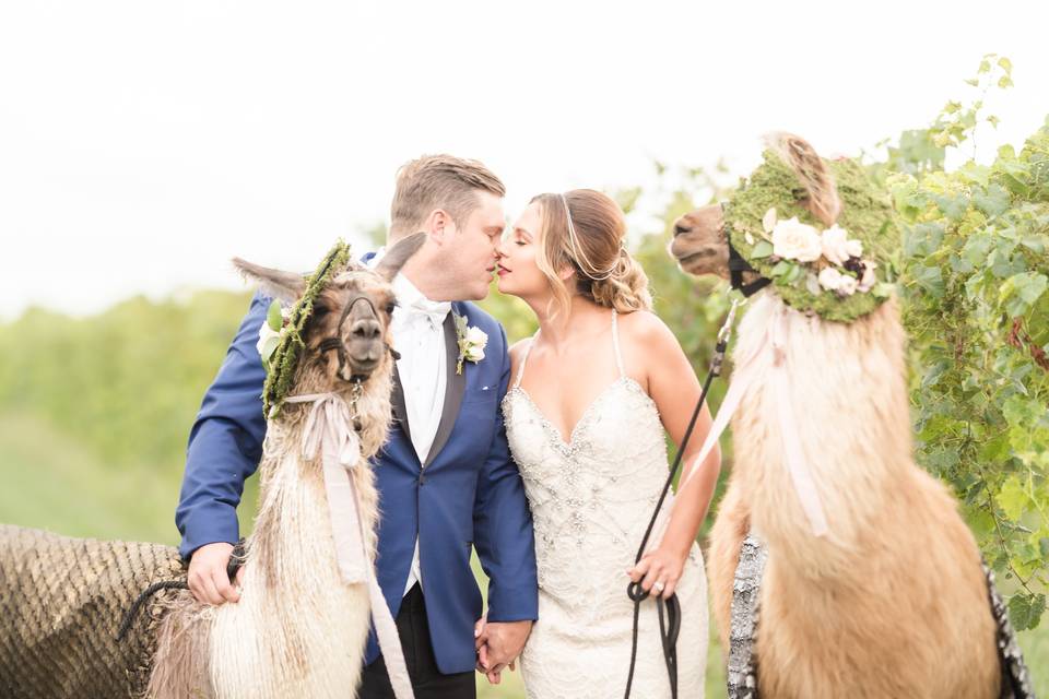 Bride and Groom