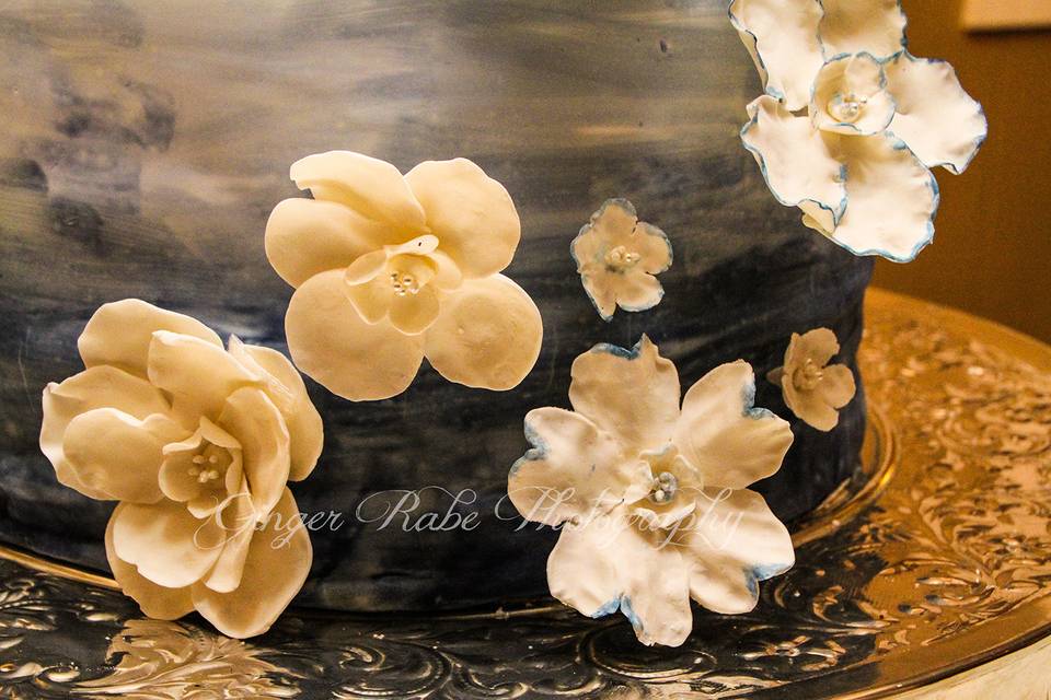 Ginger Rabe Photography