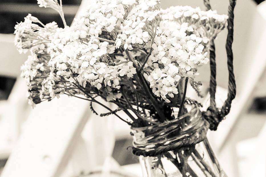 Ginger Rabe Photography