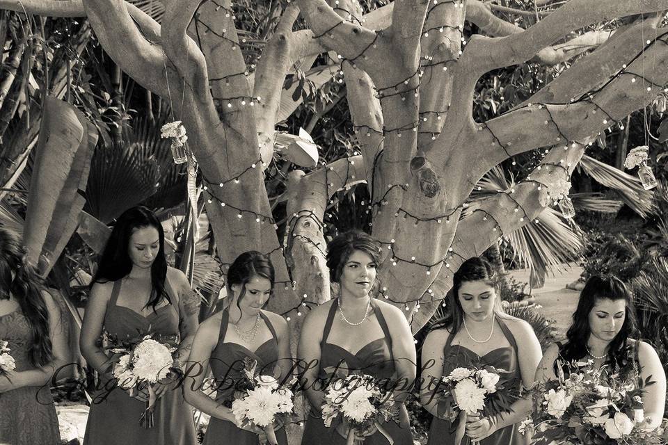 Ginger Rabe Photography