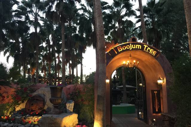 Boojum Tree