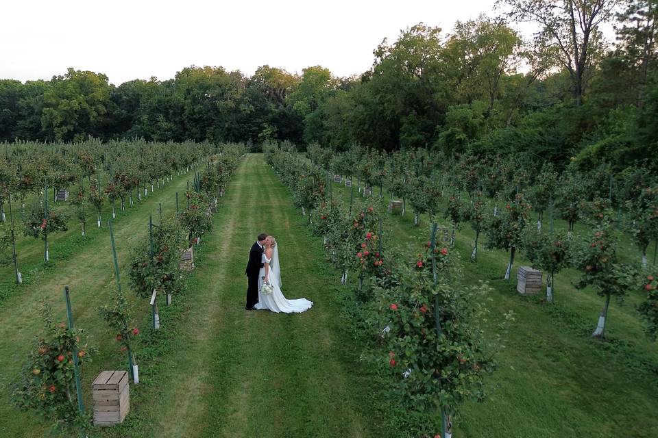 Apple orchard