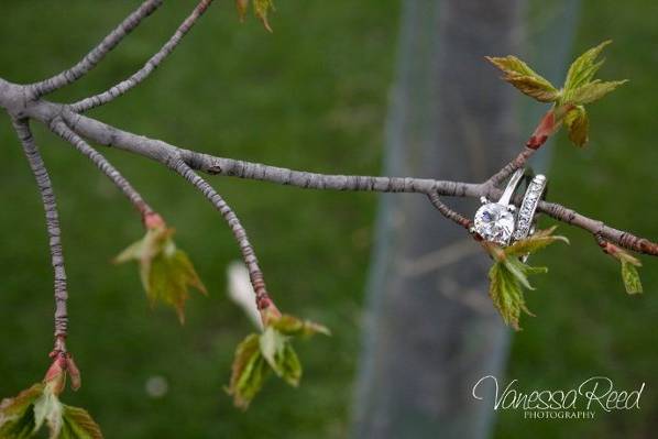 TOMS Inspiration Shoot : Rings