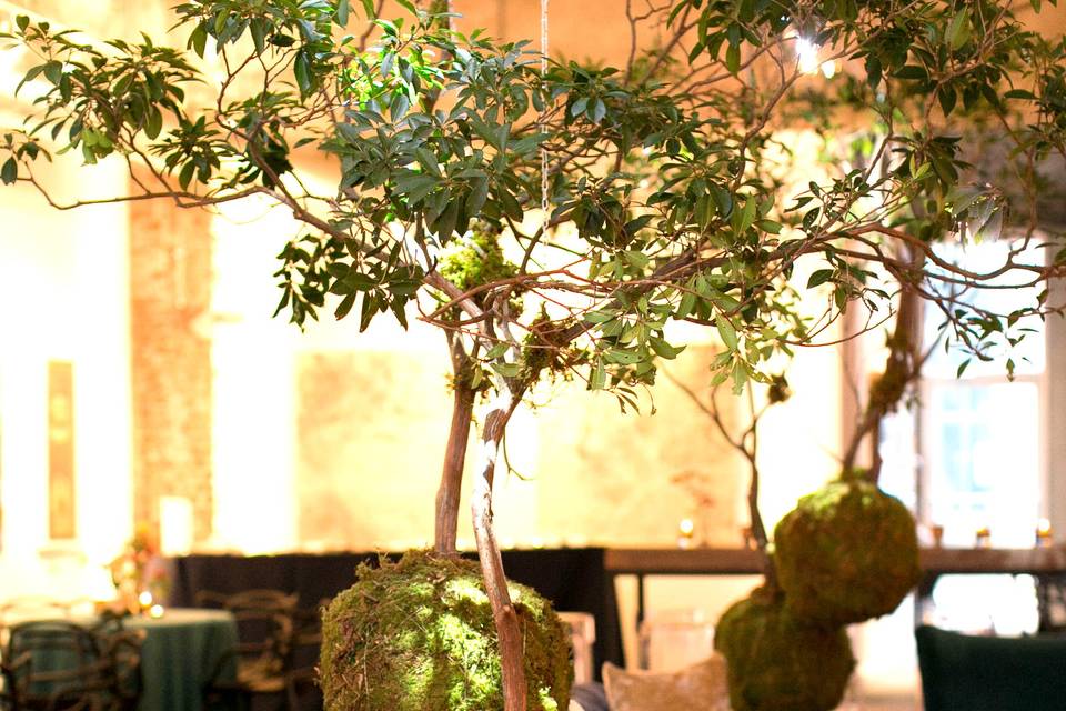 Kokedama installation