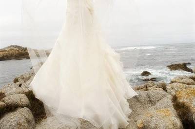 Mike Steelman Photographers, Wedding Photographer Carmel, Monterey, Santa Cruz, San Francisco