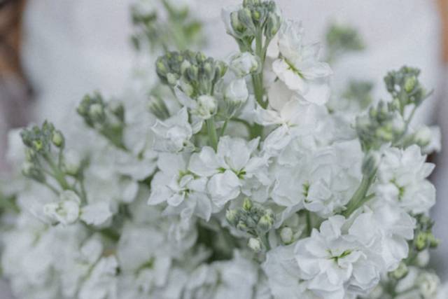 Elle and Bryan: Bridal Bouquet