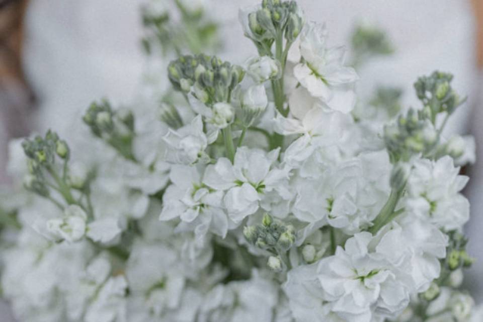 Elle and Bryan: Bridal Bouquet