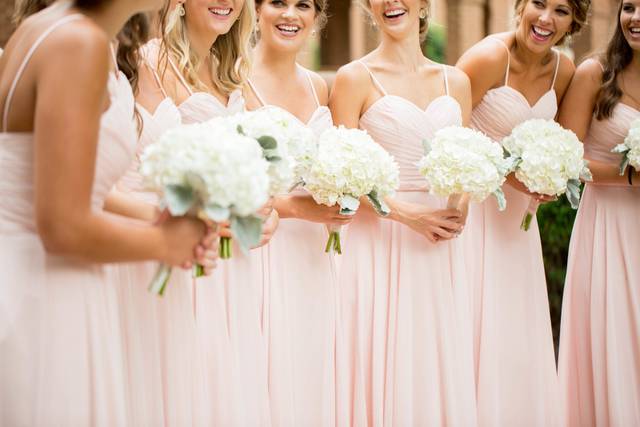 Shelley Bordner Photography