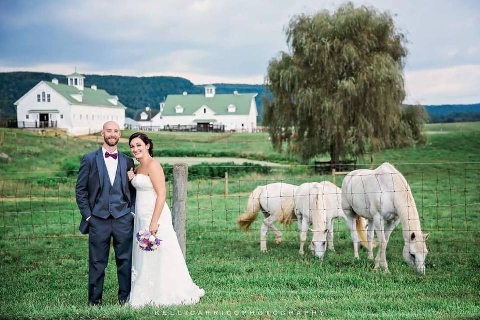 Outdoor wedding reception