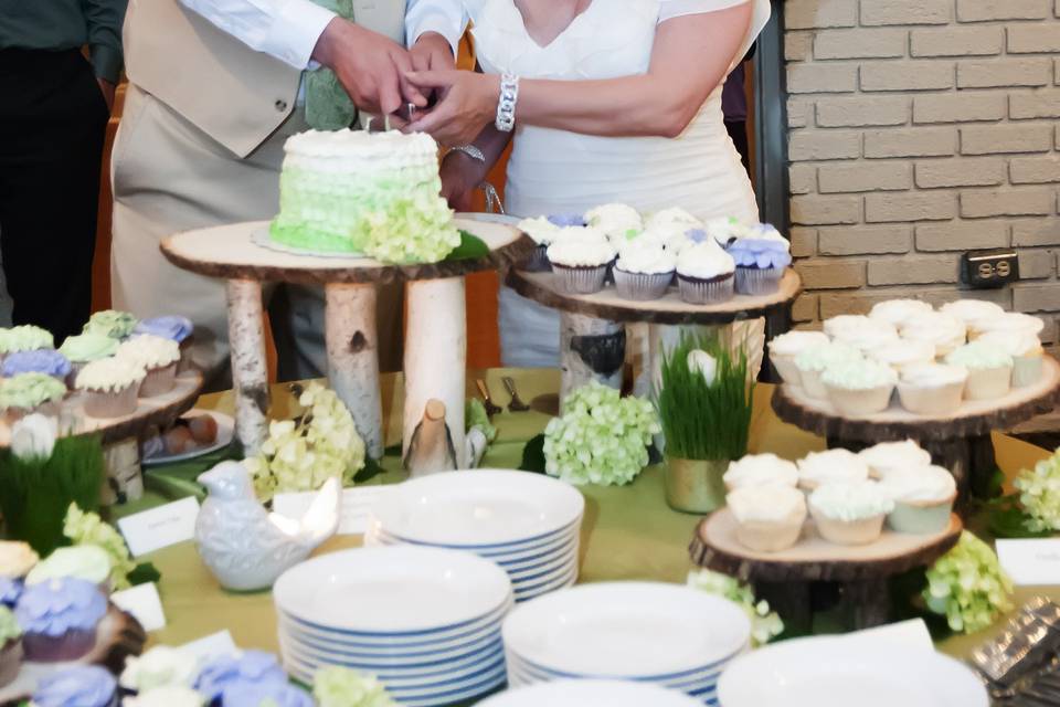 Sherrie Imaging