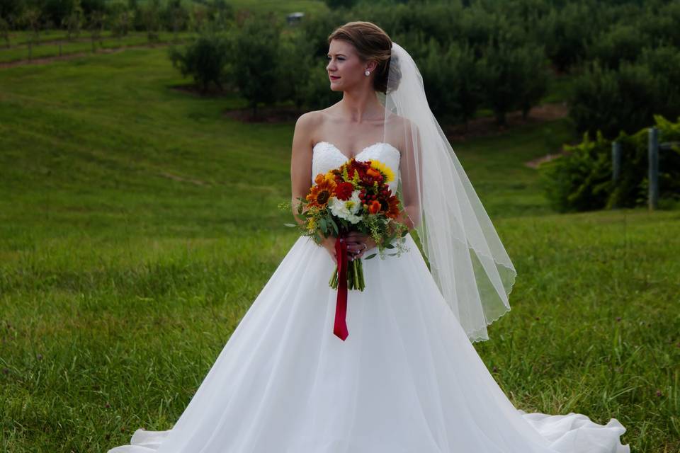 Sherrie Imaging