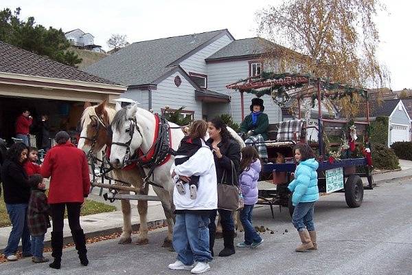 Christmas Haywagon Drive