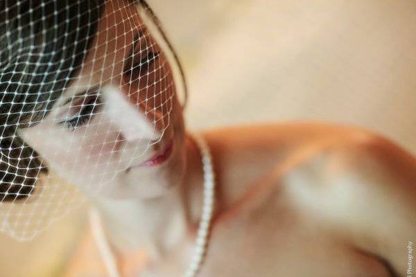 Bride, bird cage veil