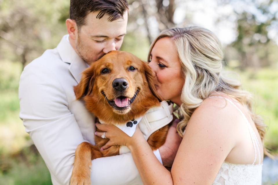 Dog photos