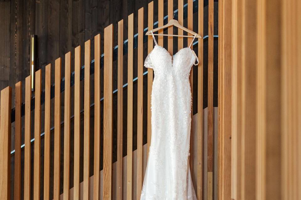 Dress Detail Photos