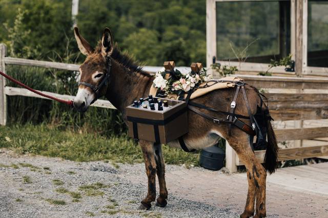 The Pint-Sized Pasture