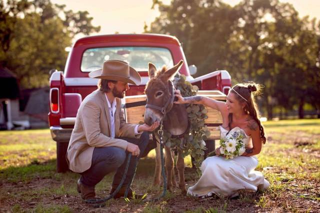 The Pint-Sized Pasture