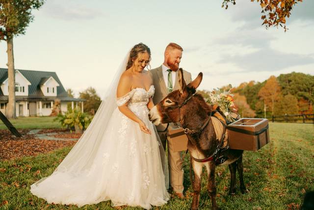 The Pint-Sized Pasture