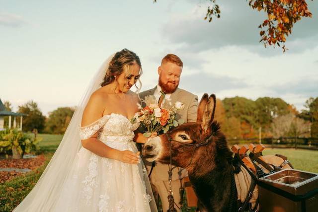 The Pint-Sized Pasture