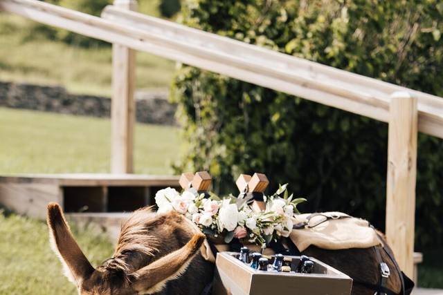 The Pint-Sized Pasture