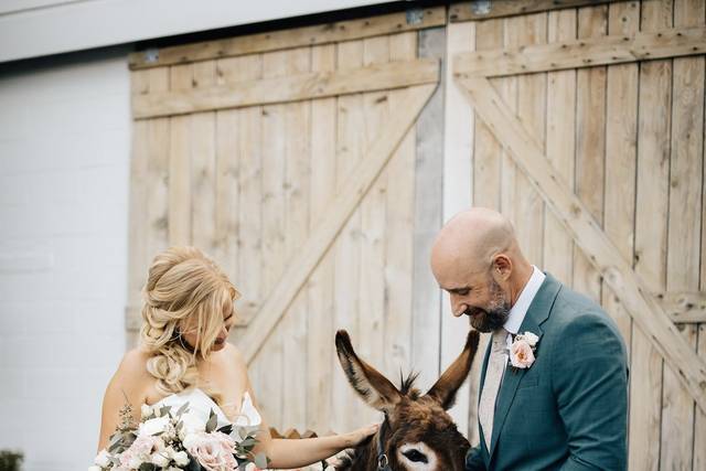 The Pint-Sized Pasture