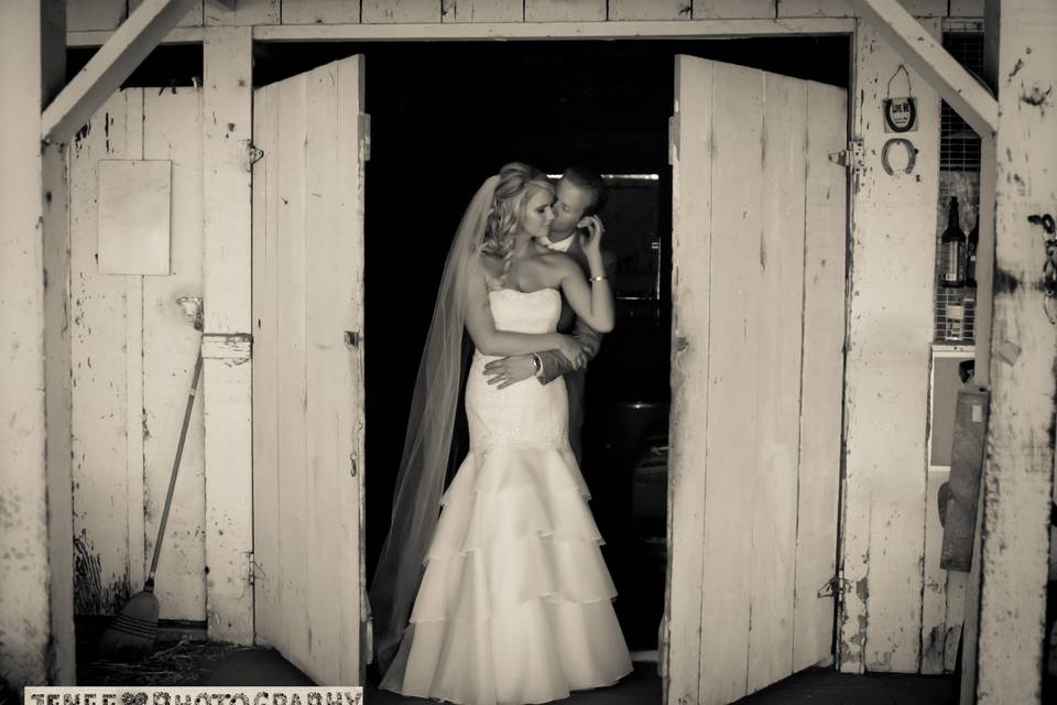 Jenee Whittick Photography