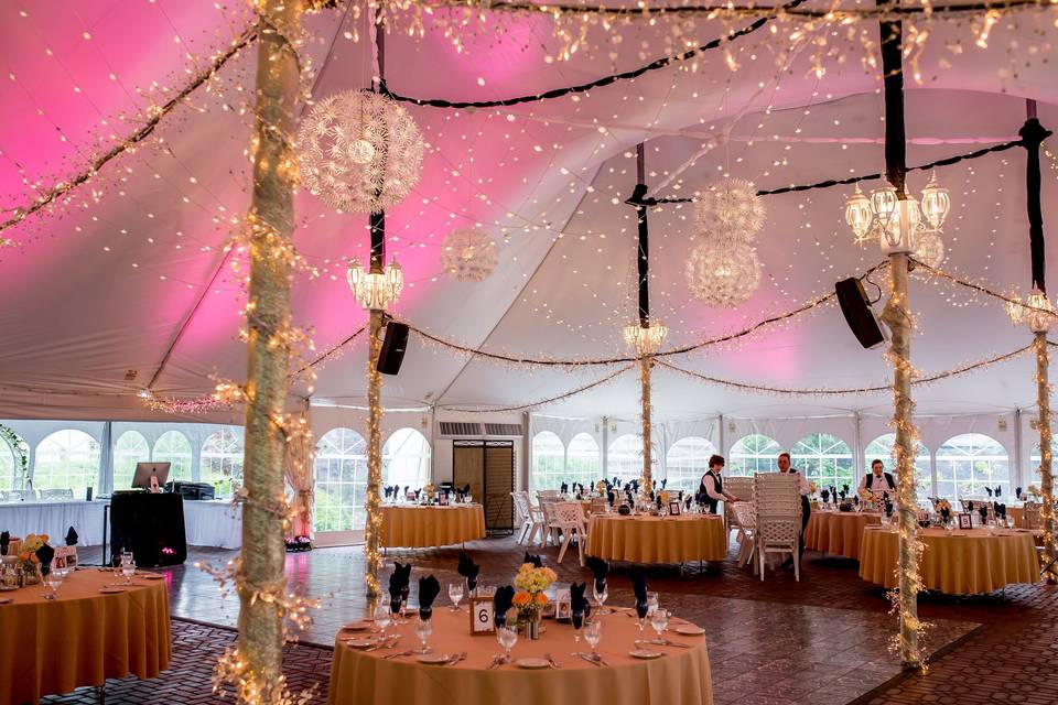 Tent lights and pink uplights