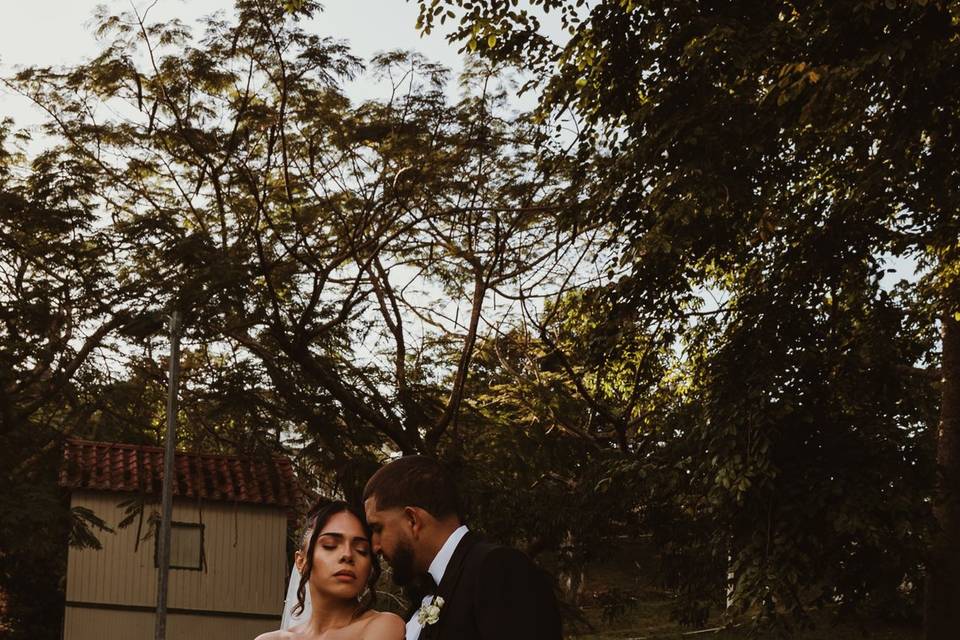 Wedding in Cayey