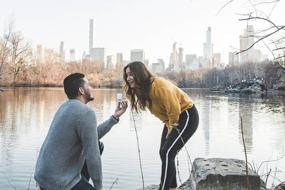 Proposal at Central Park