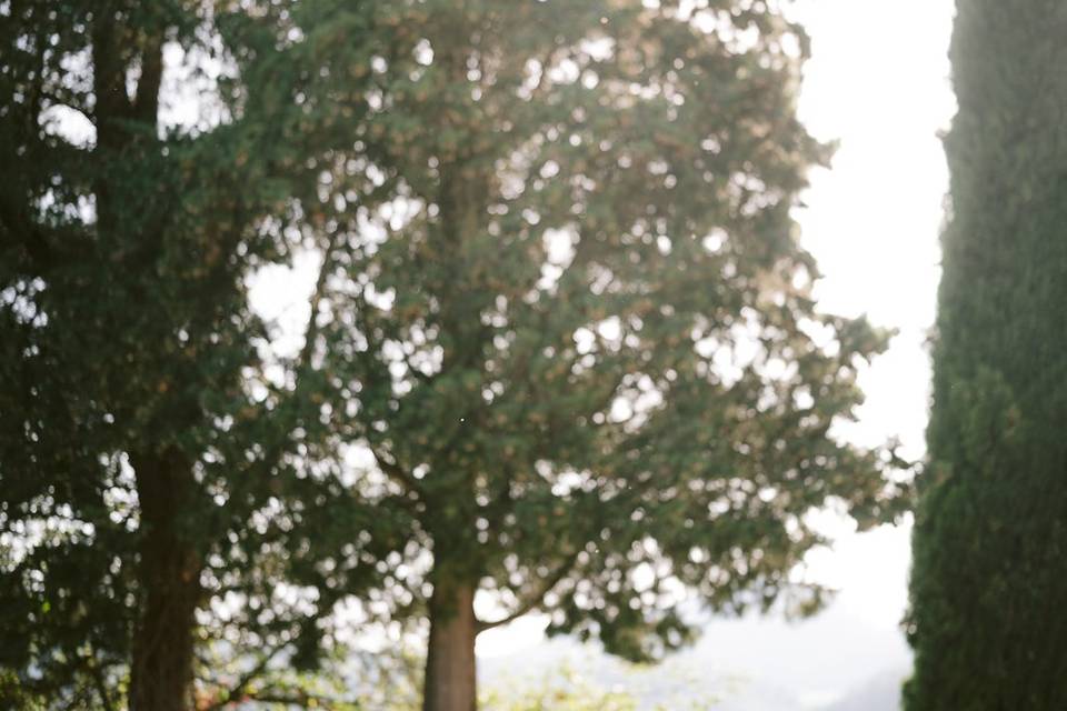Wedding in Tuscany