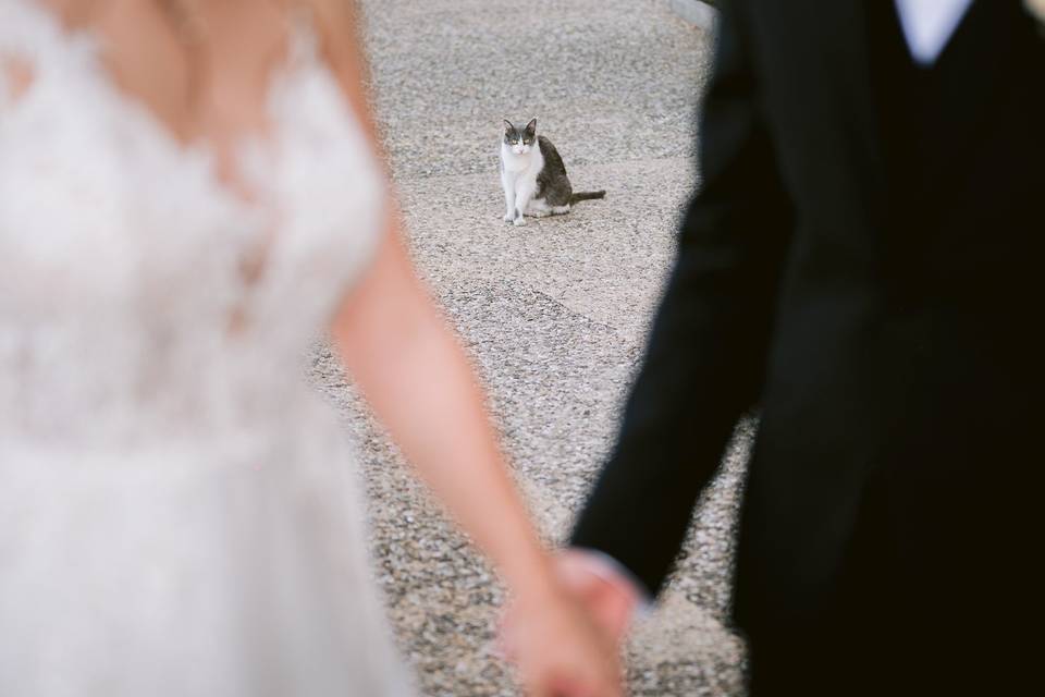 Wedding in Tuscany