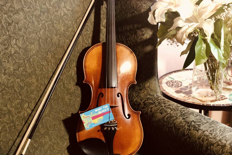 Violin & Lillies
