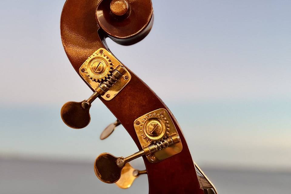 Gustav the Bass