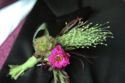 Grasses and Seed pod