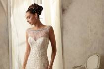 Dream Gowns