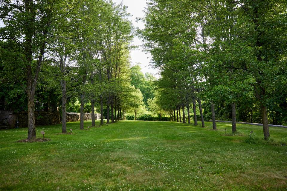 Ceremonial Lawn