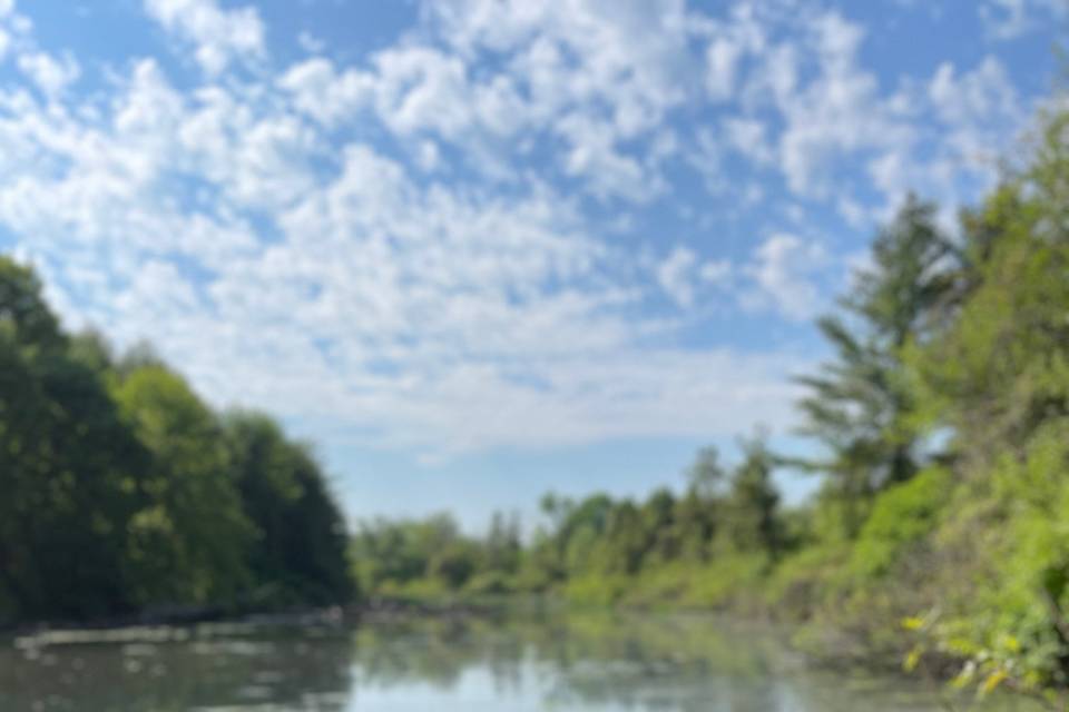 Pond