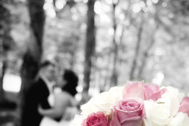 Treasured Memories Photography
